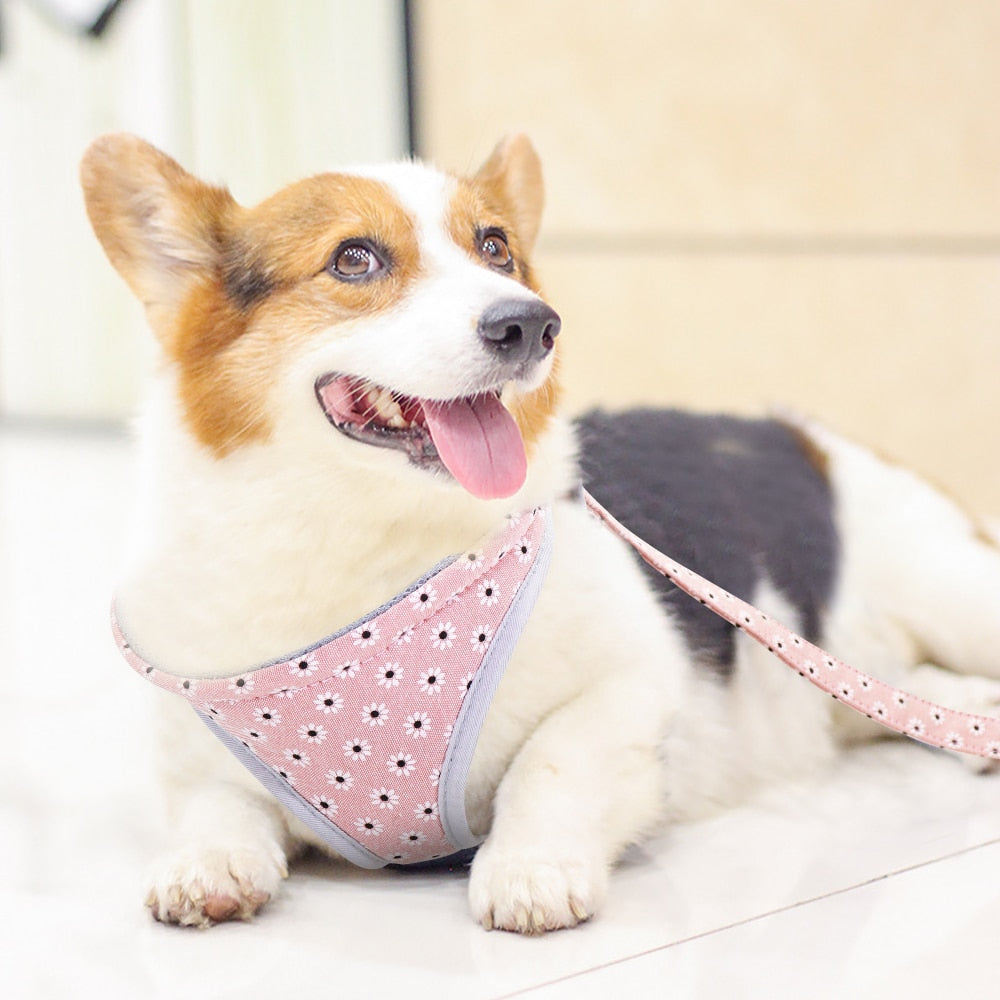 Reflective Dog Harness Soft Mesh Pet Puppy Harness Leash Set Fashion Printed Small Medium Dogs Vest Harnesses French Bulldog