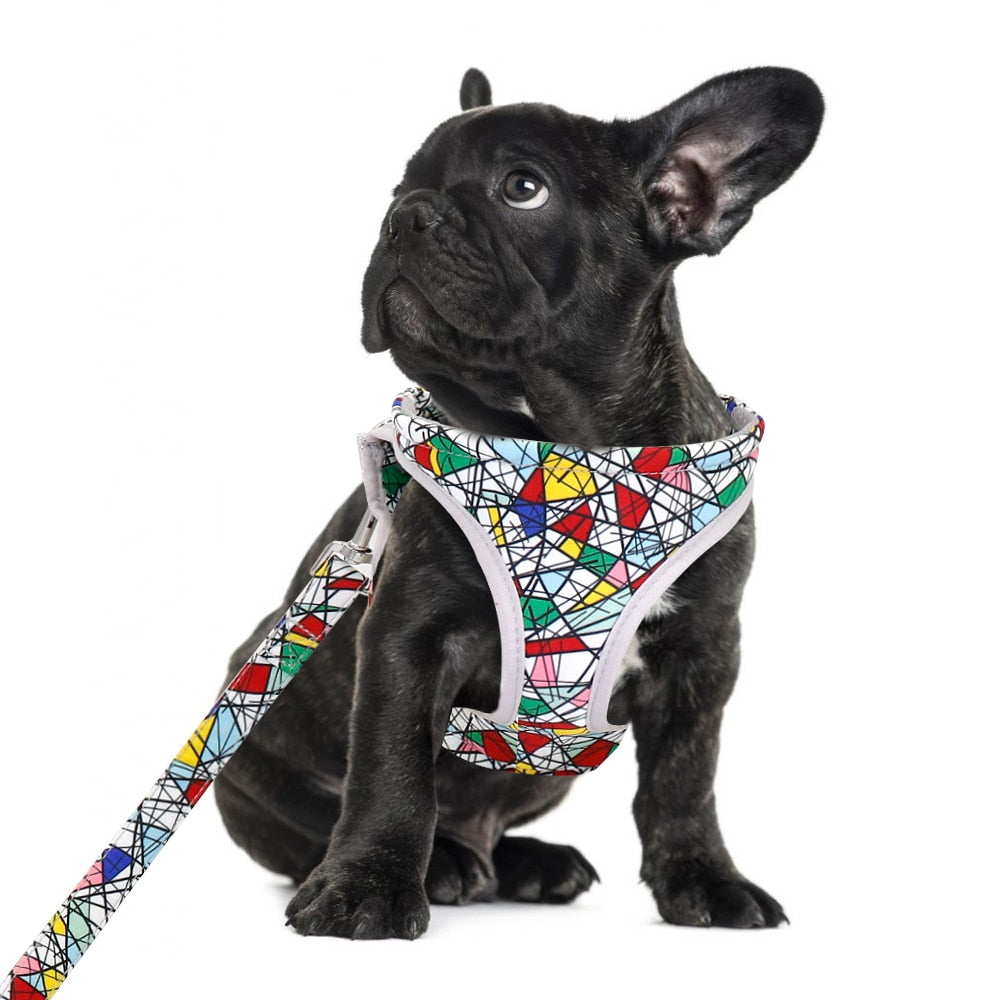 Reflective Dog Harness Soft Mesh Pet Puppy Harness Leash Set Fashion Printed Small Medium Dogs Vest Harnesses French Bulldog