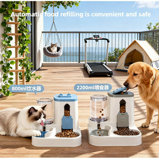 Dog Automatic Feeder & Waterer Set