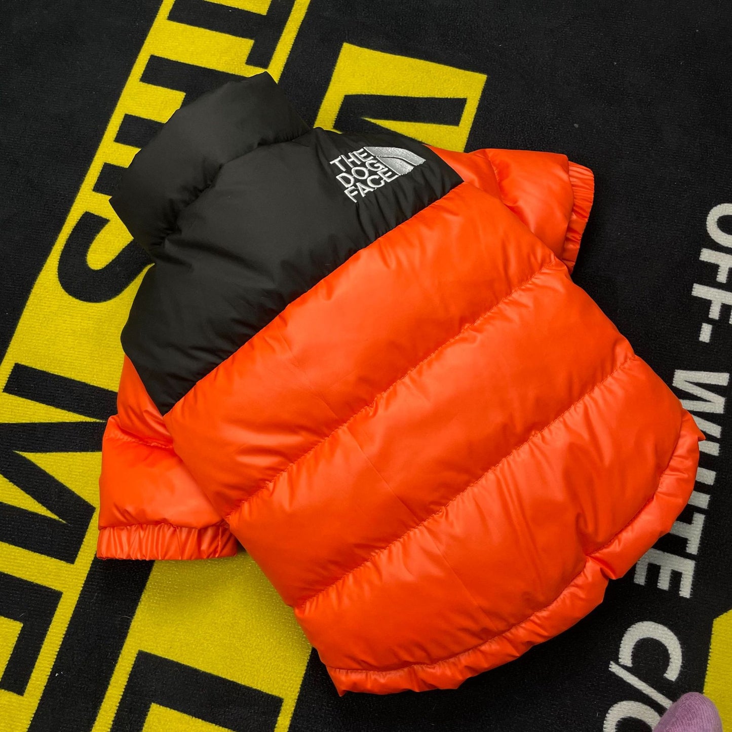 Dog face pet down winter jackets for French bully's all size.