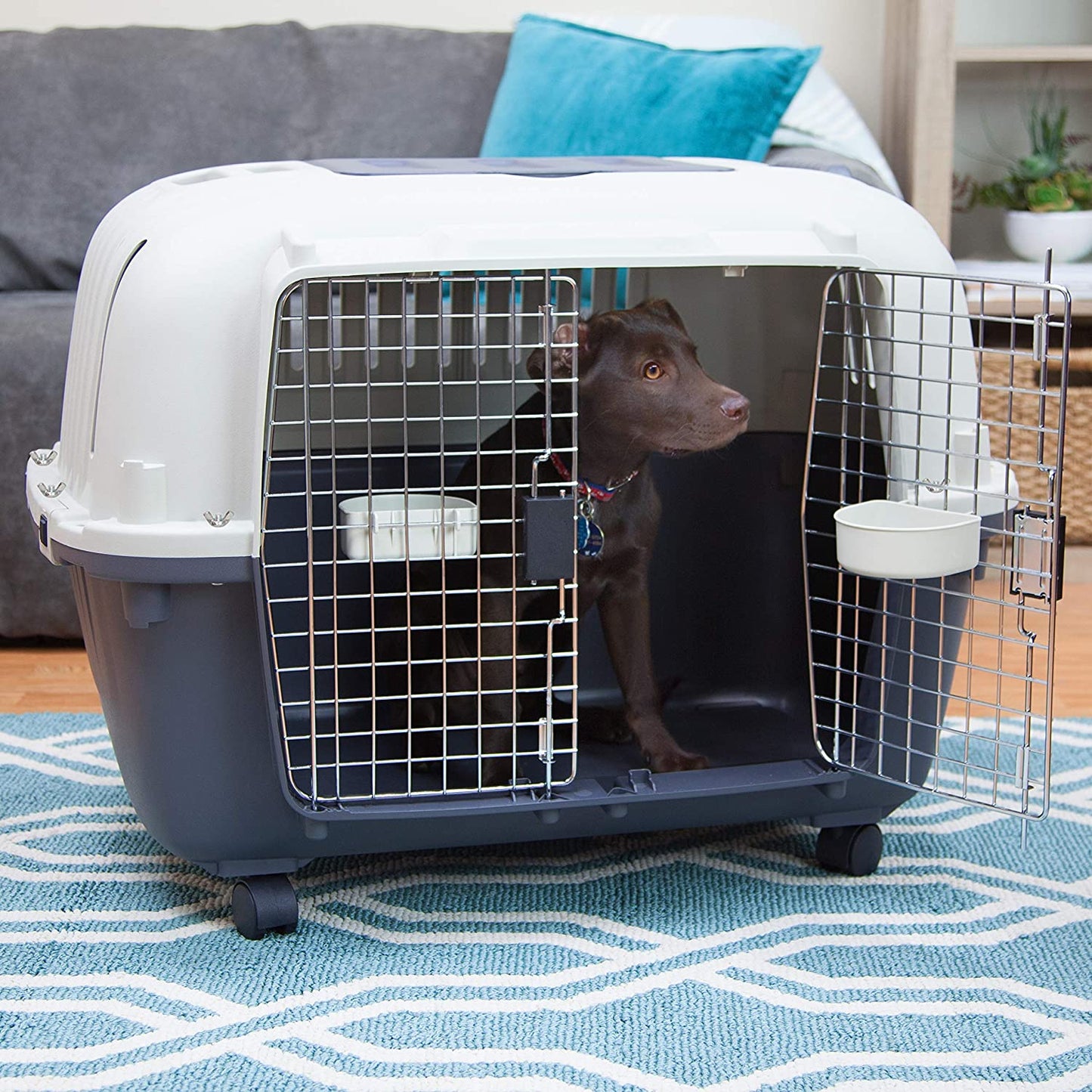 Two-door pet air crate can hold two pets Transport Carry Case Dog Travel Bag Airline Approved Tote.
