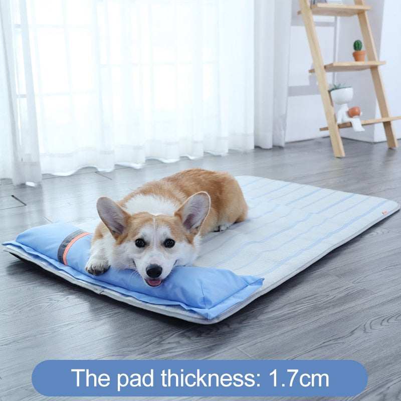 HOOPET Dog Bed Padded Cushion for Small & Big Dogs Sleeping Bed.