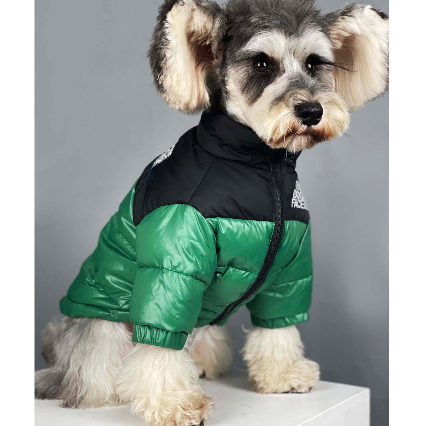 Dog face pet down winter jackets for French bully's all size.