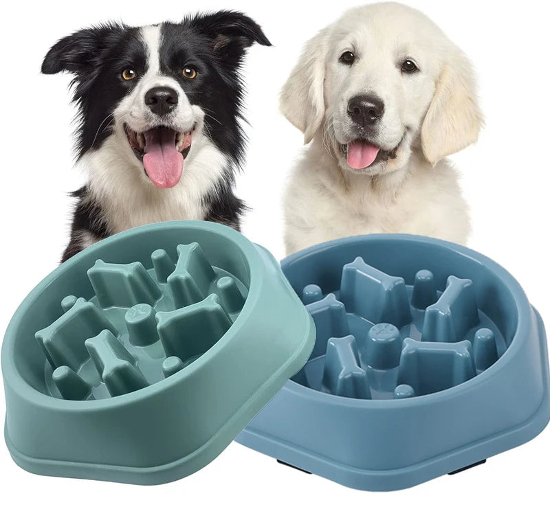 Anti-Choking Dog Bowl