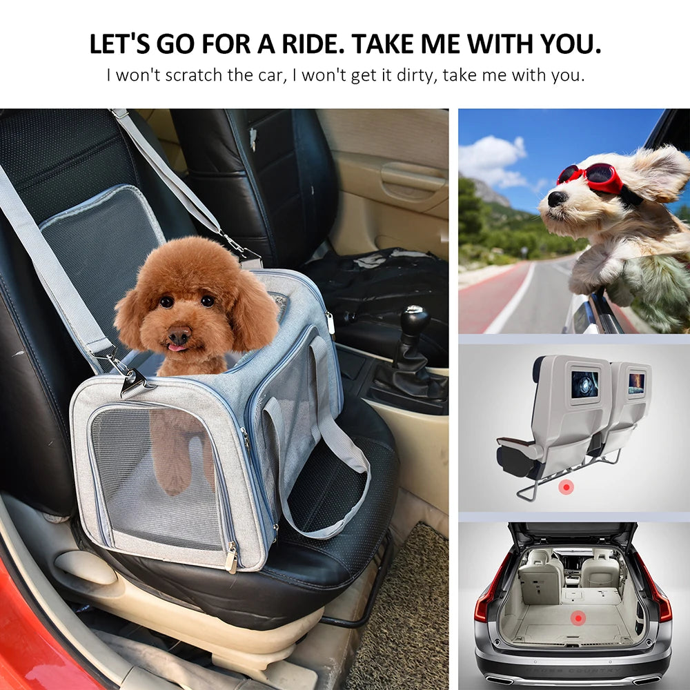 Airline Approved Dog Backpack