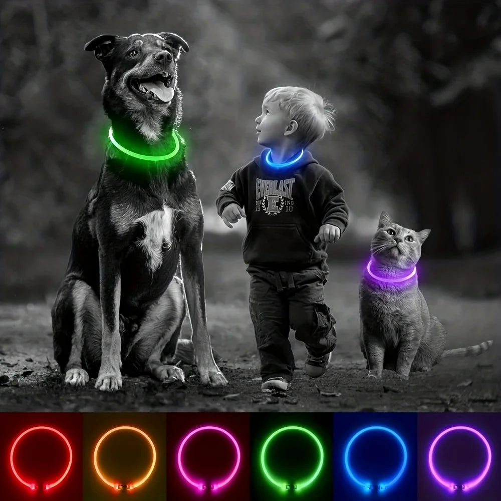 Dog Collar LED Light