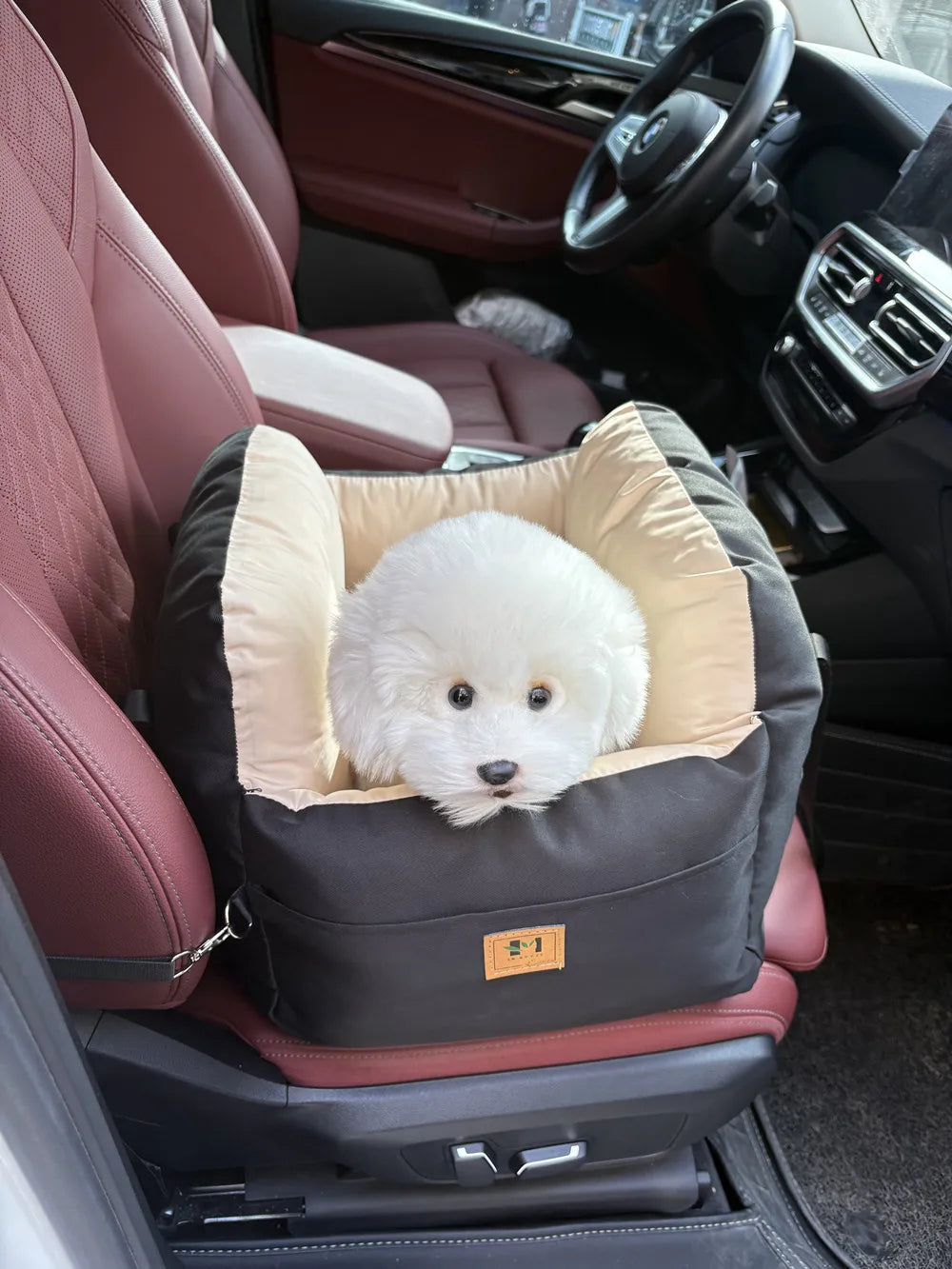 Dog Car Seat