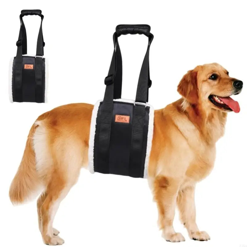 Dog Lift Harness