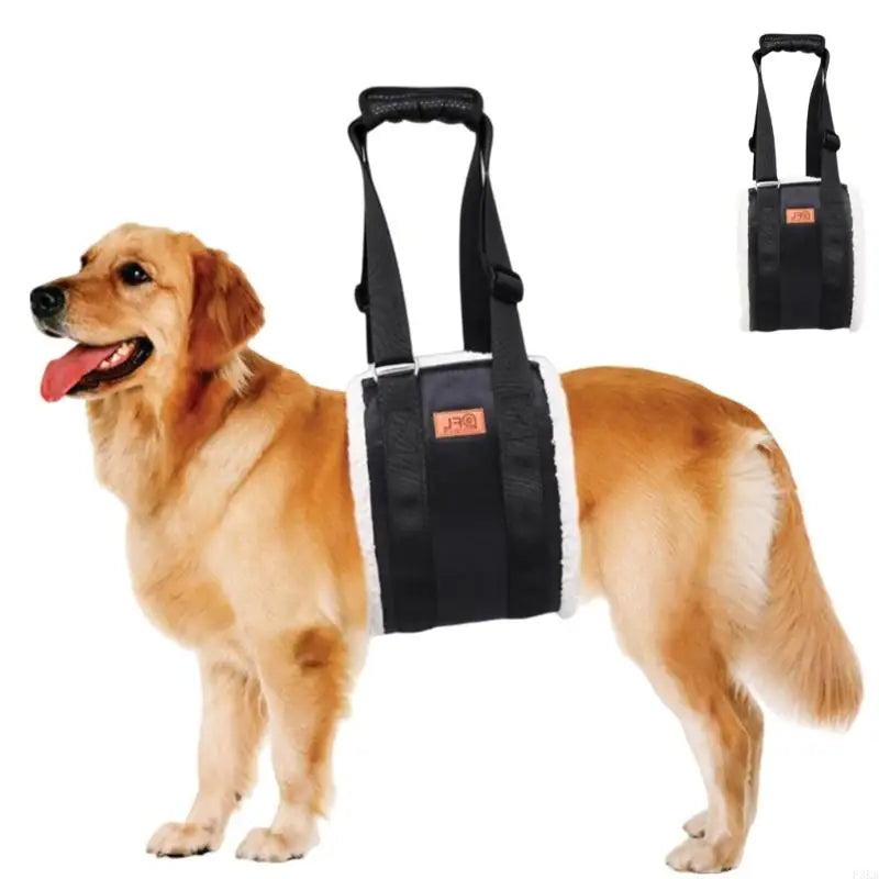 Dog Lift Harness