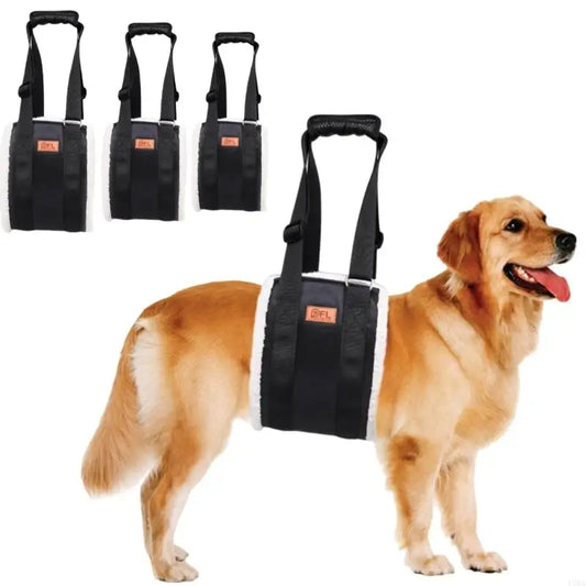 Dog Lift Harness