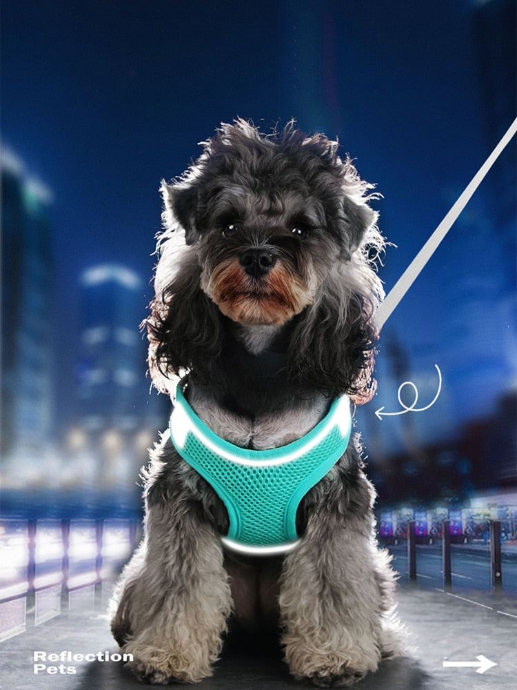 Kimpets Dog Harness Clothes Vest Chest Collars Rope Small Dogs Reflective Breathable Adjustable Outdoor Walking Pet Supplies