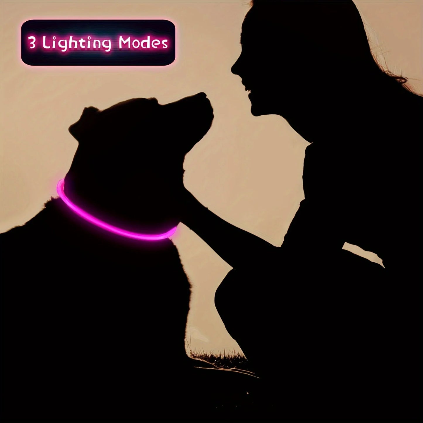 Dog Collar LED Light