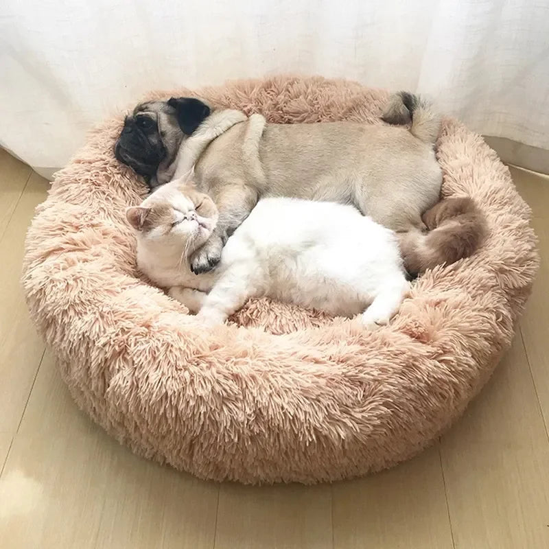 Donut Bed
