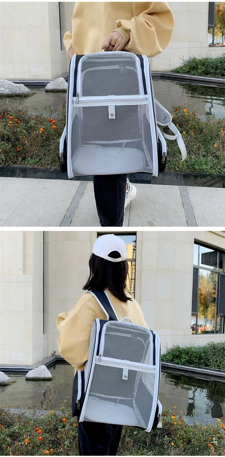 Foldable Dog Backpack