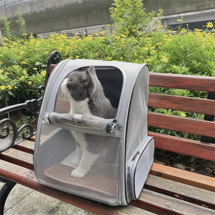 Foldable Dog Backpack
