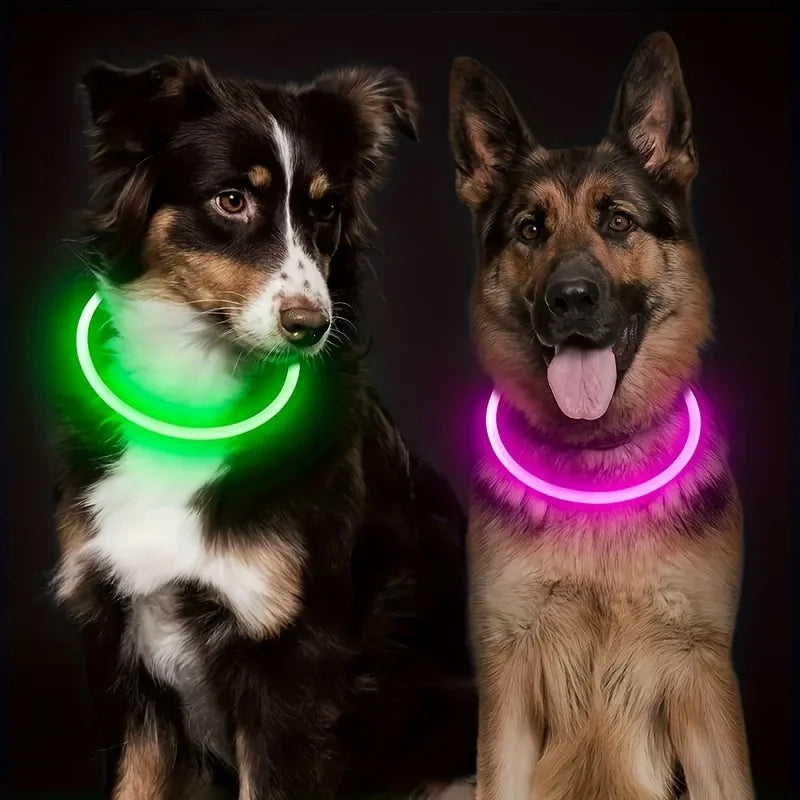 Dog Collar LED Light