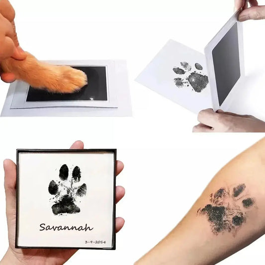 Dog Paw Print Kit