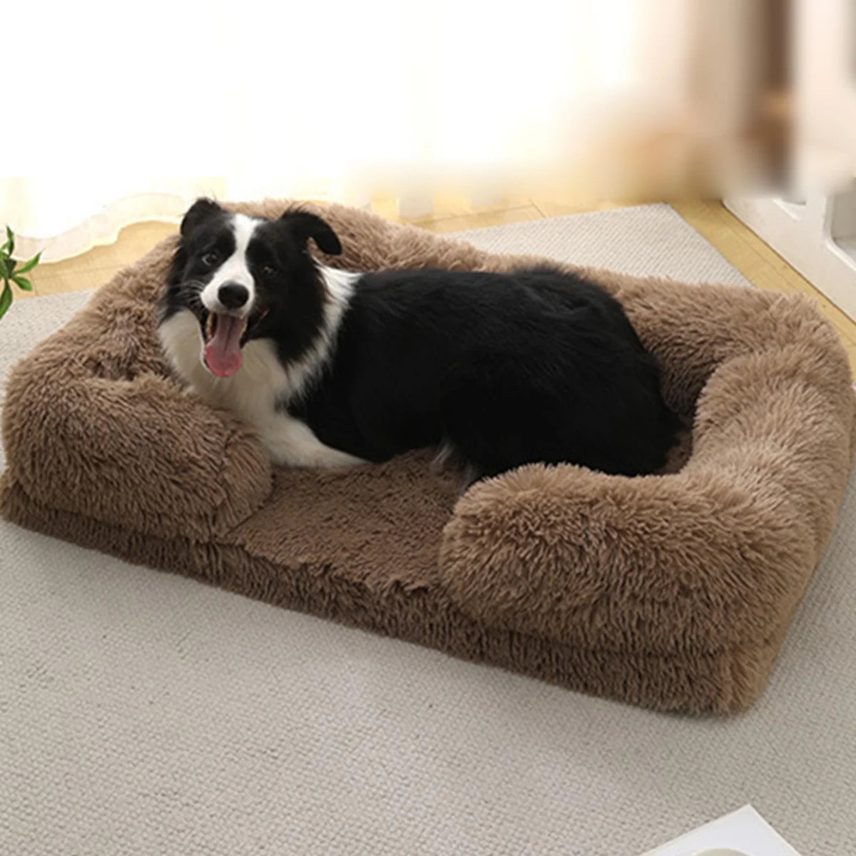 Orthopedic Bed