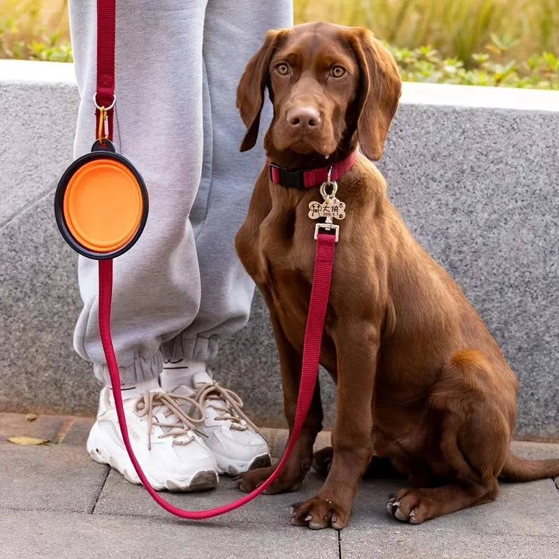 Collapsible Dog Bowl