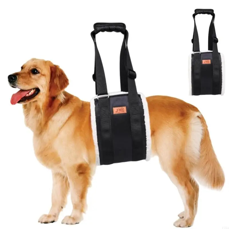Dog Lift Harness