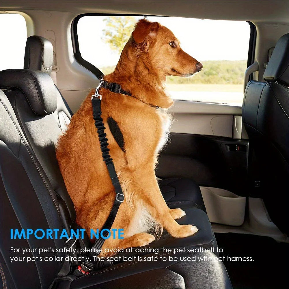 Dog Seat Belt