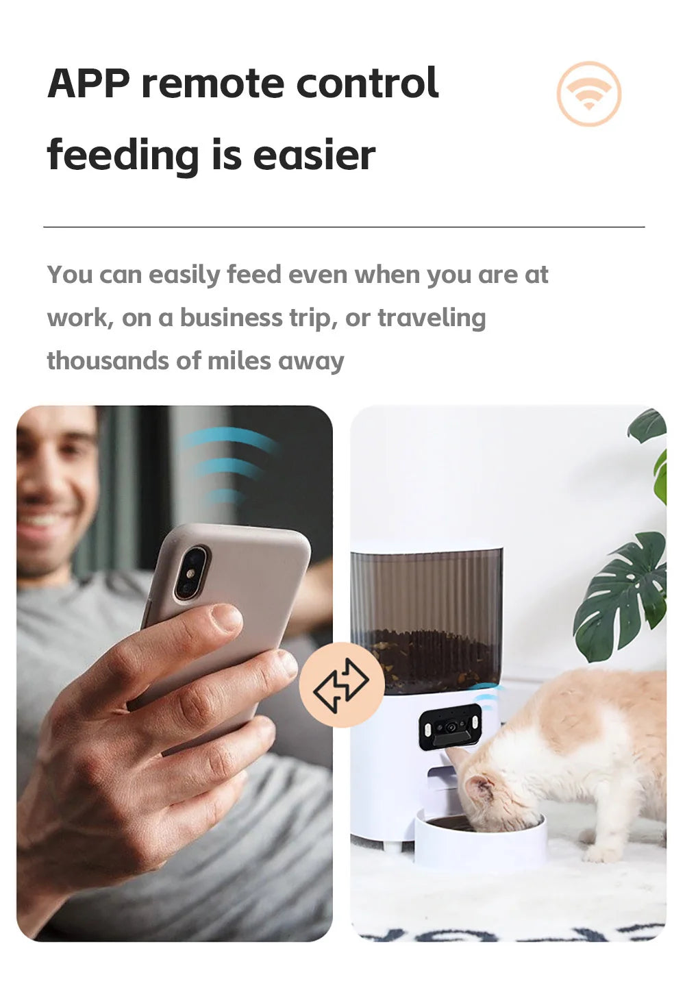 Automatic 5L Dog Feeder