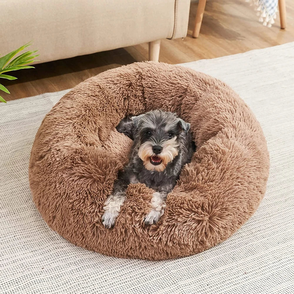 Donut Bed