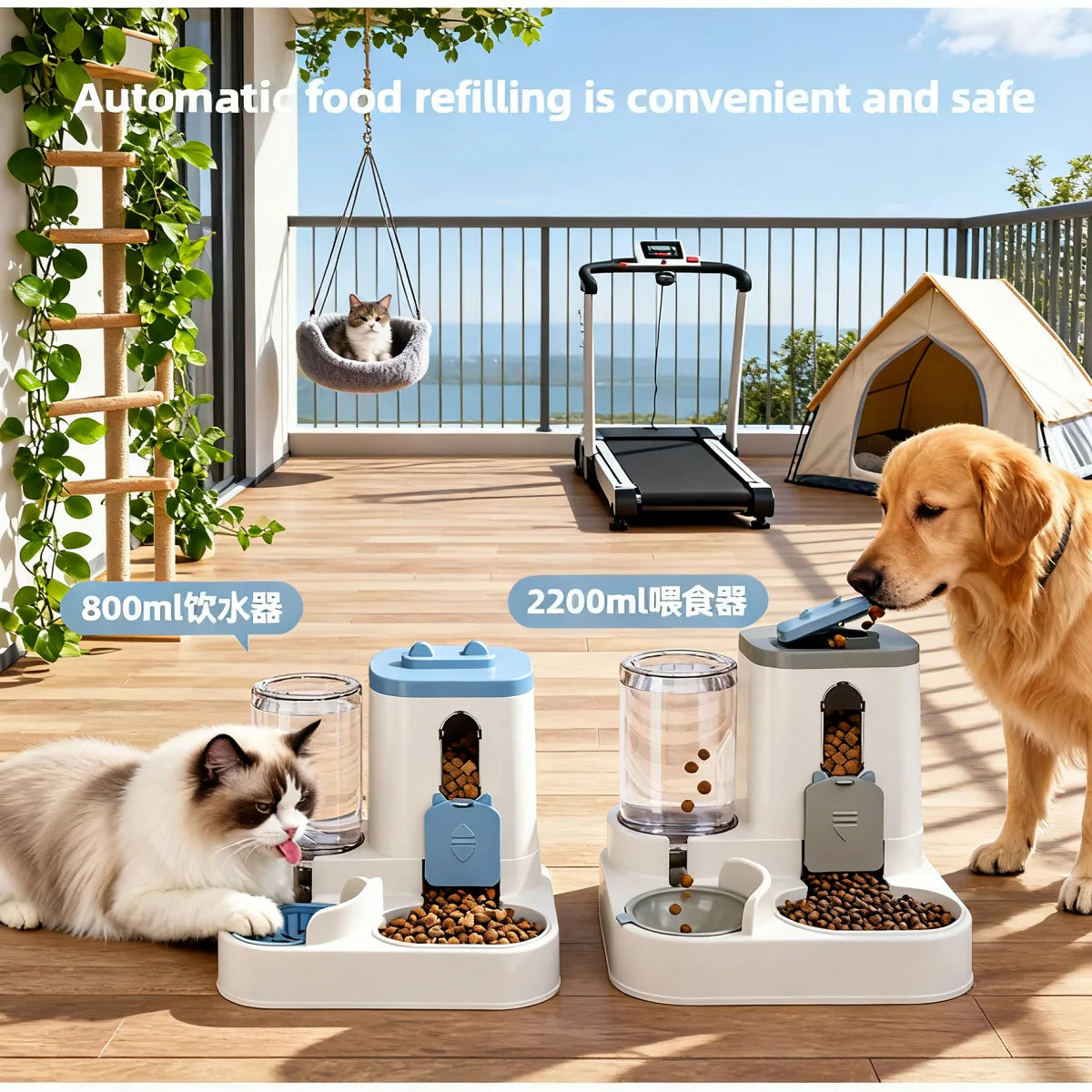 Dog Automatic Feeder & Waterer Set