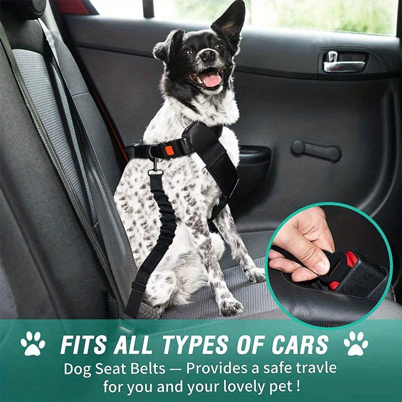 Dog Seat Belt