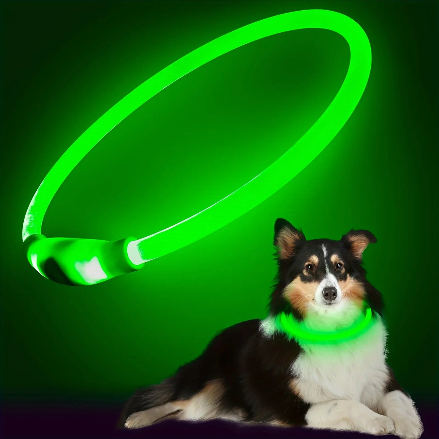 Dog Collar LED Light
