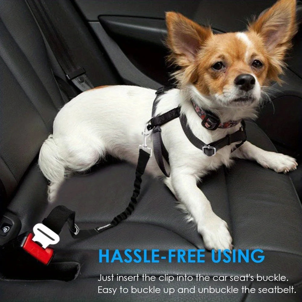 Dog Seat Belt