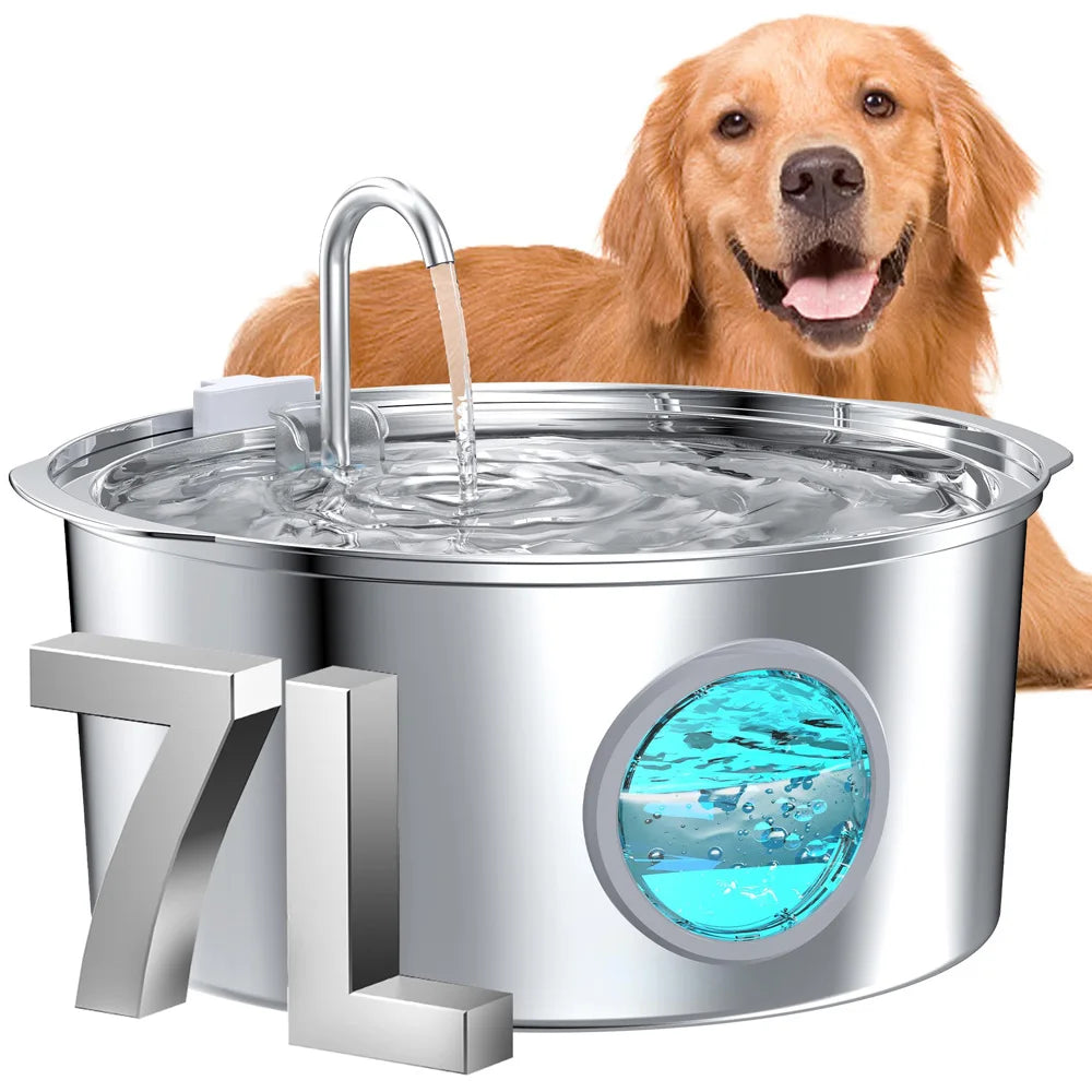 Dog Water Fountain