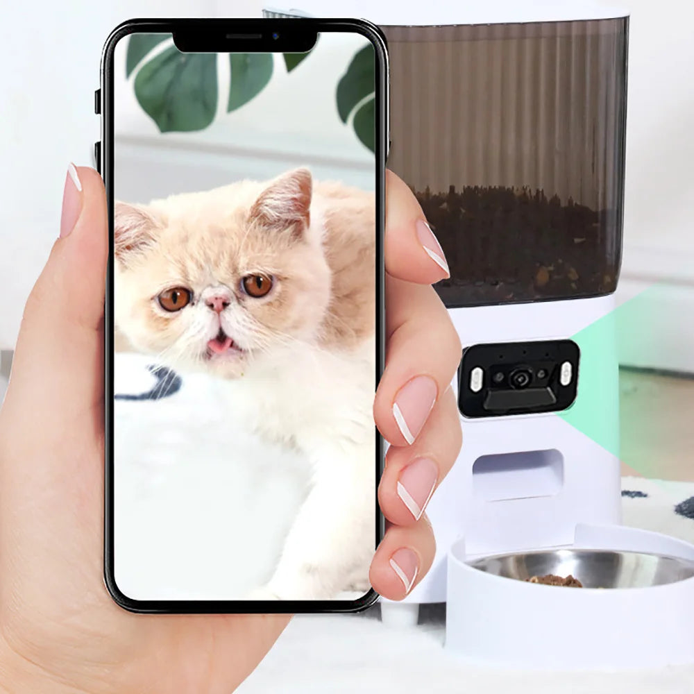 Automatic 5L Dog Feeder