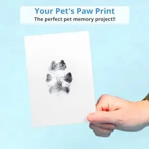 Dog Paw Print Kit