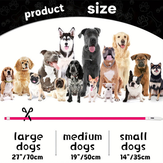 Dog Collar LED Light