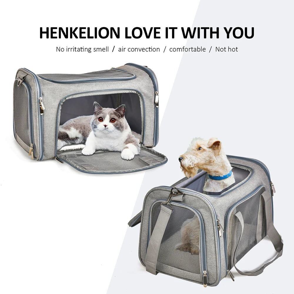 Airline Approved Dog Backpack