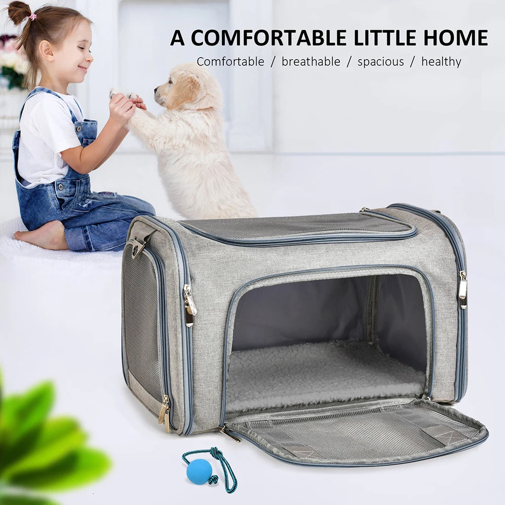 Airline Approved Dog Backpack