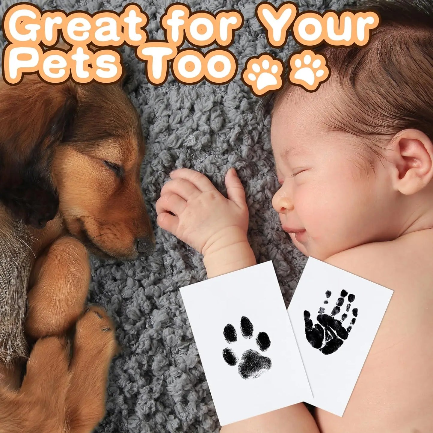 Dog Paw Print Kit