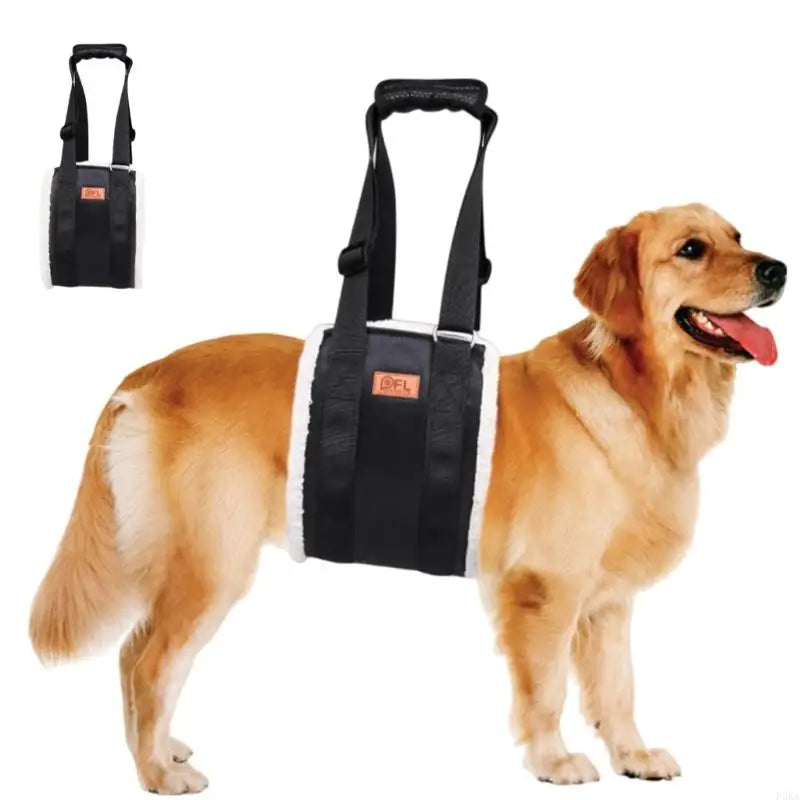 Dog Lift Harness