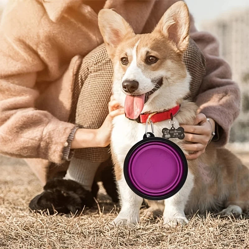 Collapsible Dog Bowl