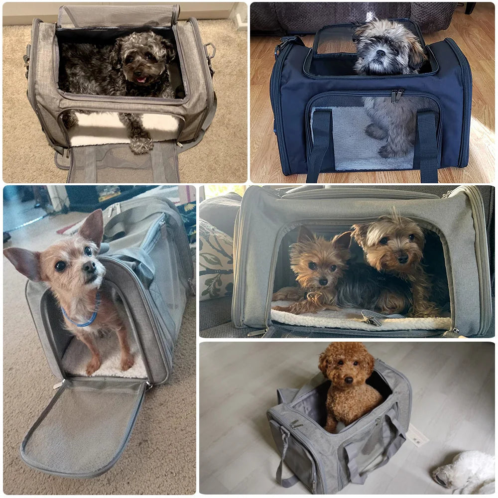 Airline Approved Dog Backpack