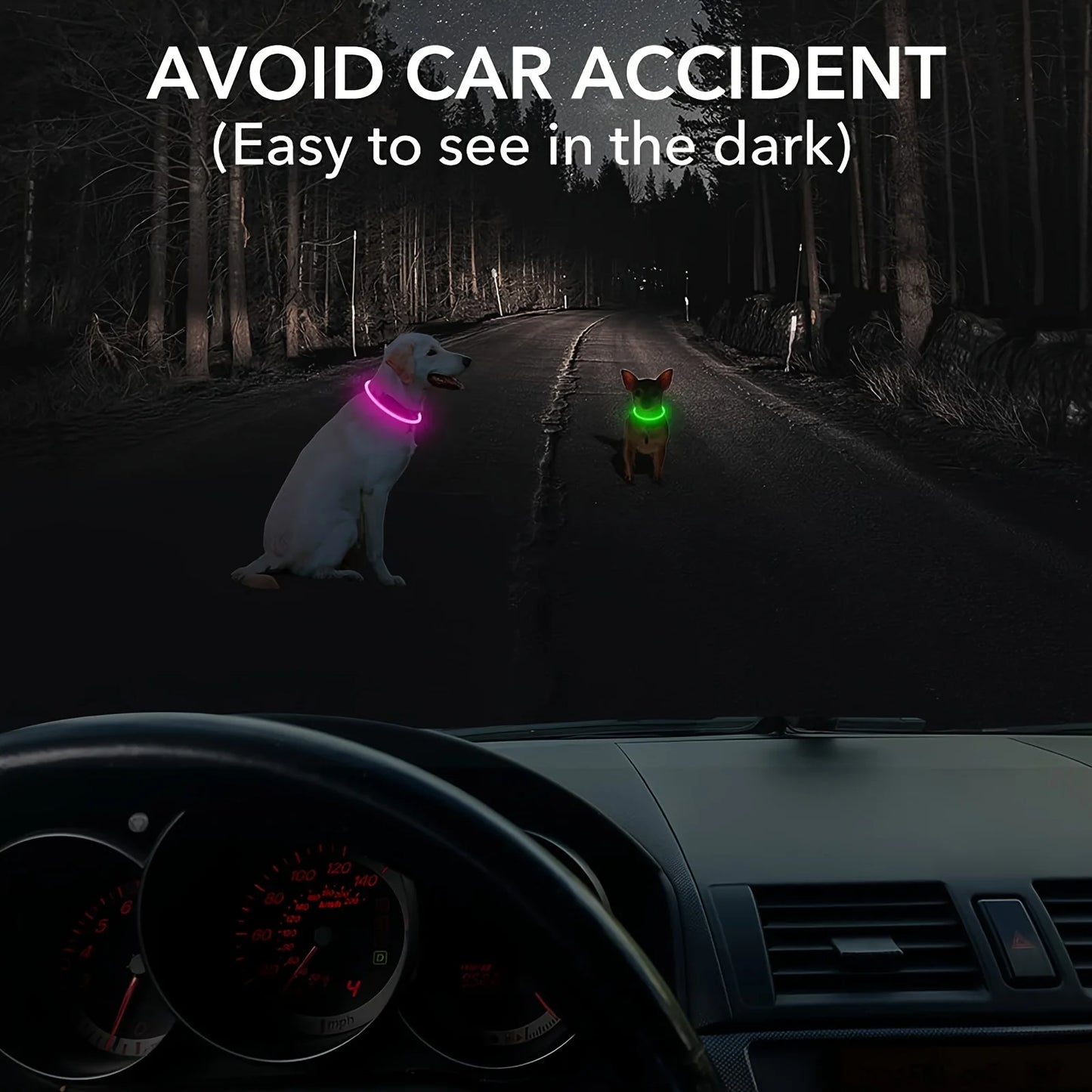 Dog Collar LED Light