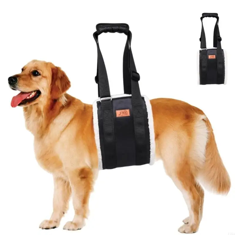 Dog Lift Harness