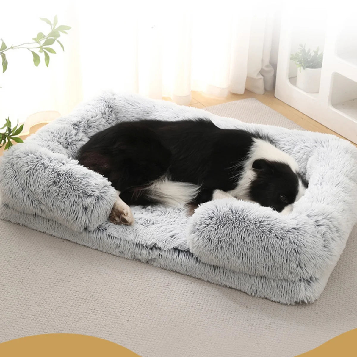 Orthopedic Bed