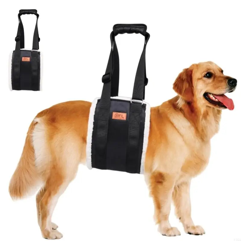 Dog Lift Harness