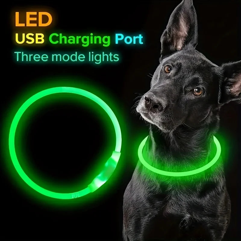 Dog Collar LED Light