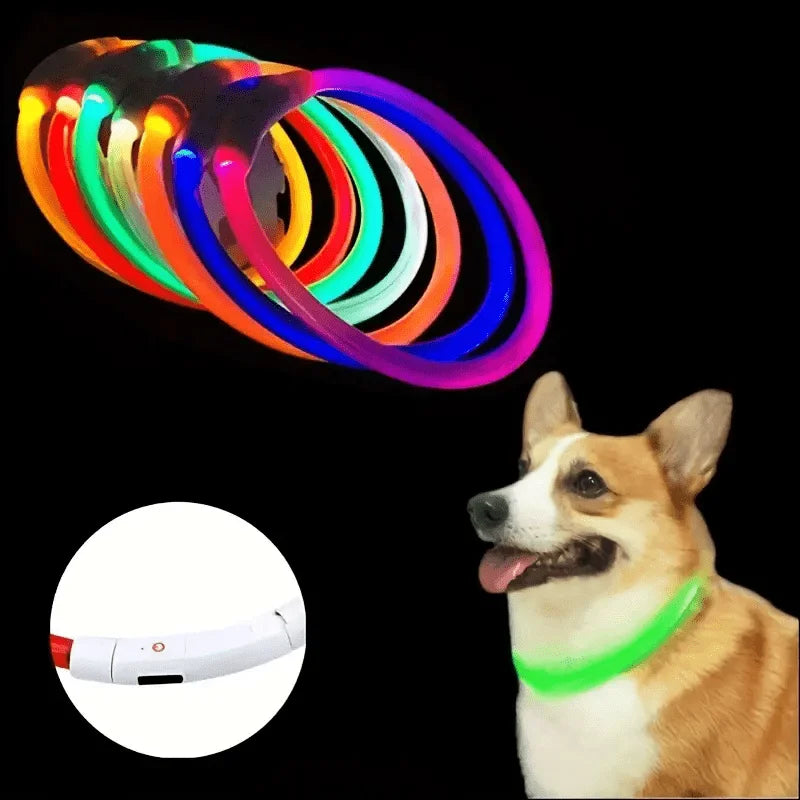 Dog Collar LED Light