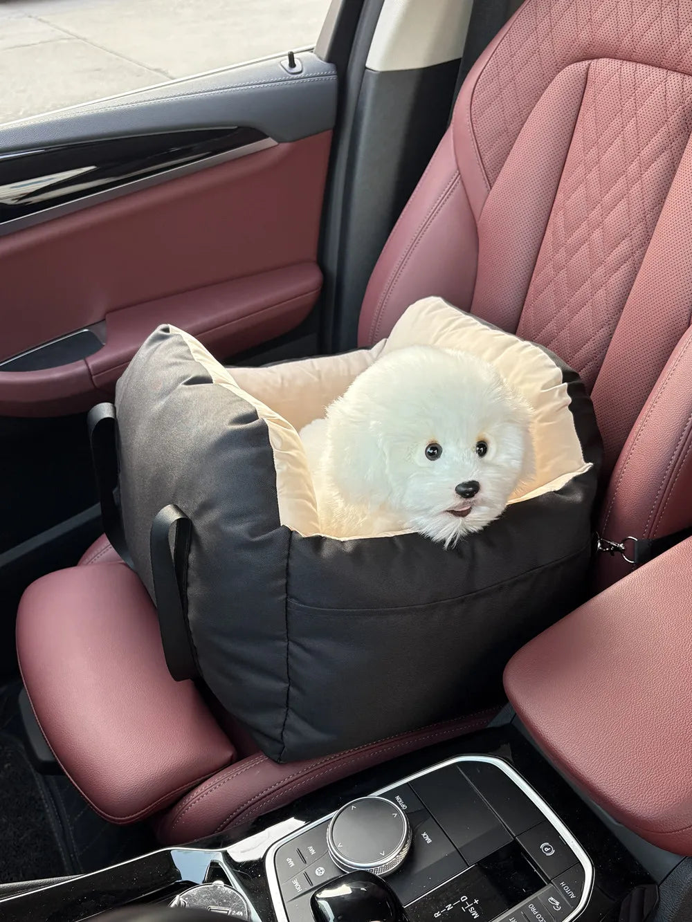 Dog Car Seat
