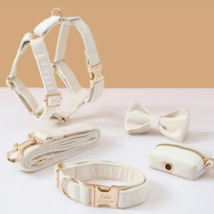 Luxury Cream Velvet Personalized Dog Collar & Harness – 5-Piece Set