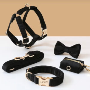 Luxury Black Velvet Personalized Dog Collar & Harness – 5-Piece Set